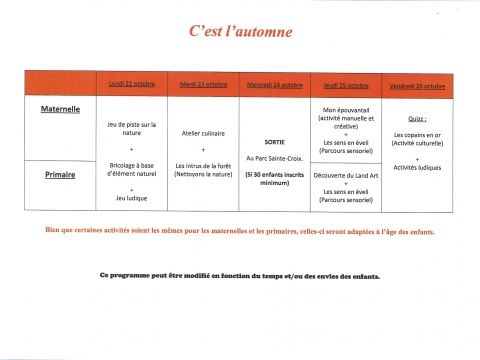 Rémelfing Accueil de loisirs du 22 au 26 octobre 2018 à Zetting