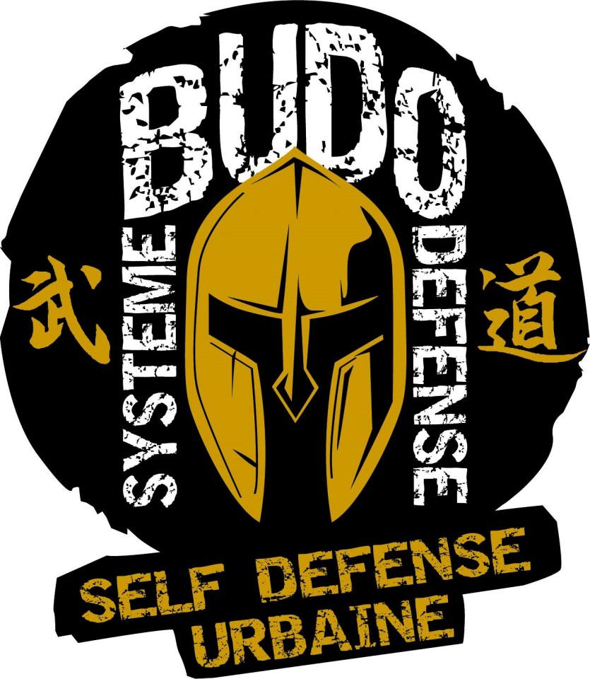 Nouveauté: cours de self défense par BUDO Système Défense Wing Chun Sarreguemines 57 au château.