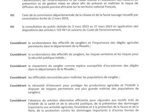 Rémelfing Arrrêté 2023 - DDT-SERAF-UFC n°19 du 05 AVRIL 2023 autorisant le tir de nuit du sanglier du 15 avril 2023 au 1er février 2024