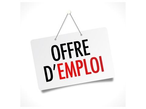 Offre d'emploi - Pädagogische Fachkraft pour la ville de Sulzbach Offre d'emploi - Pädagogische Fachkraft pour la ville de Sulzbach