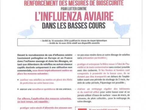 Image Mesures contre l'Influenza Aviaire