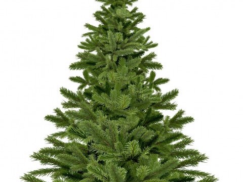 Ramassage des sapins de Noël Image Ramassage des sapins de Noël