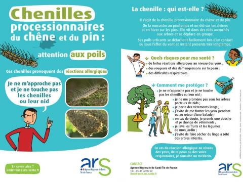 RETOUR DES CHENILLES PROCESSIONNAIRES EN FORET DE REMELFING RETOUR DES CHENILLES PROCESSIONNAIRES EN FORET DE REMELFING