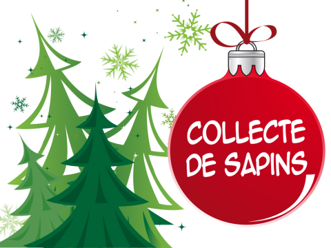 Collecte des sapins de Noël Collecte des sapins de Noël