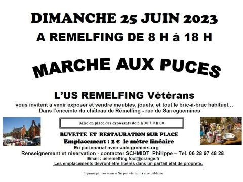 Marché aux puces au château de Rémelfing le dimanche 25 juin 2023