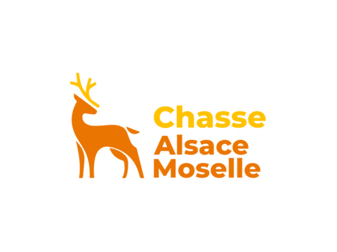 Image Location de la chasse communale