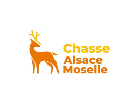 Image Location de la chasse communale par appel d'offres - Avis public