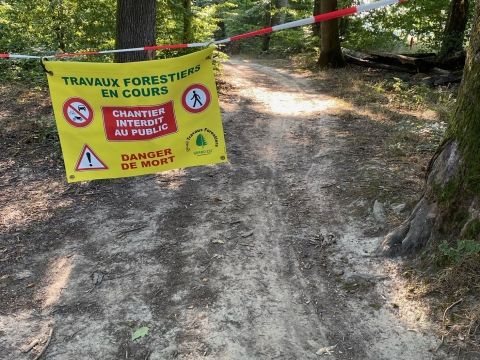 Travaux forestiers - forêt Grossbannwald Image Travaux forestiers - forêt Grossbannwald