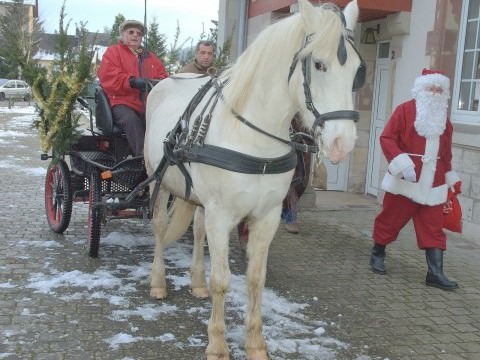 Rémelfing Marché de Noël 2010