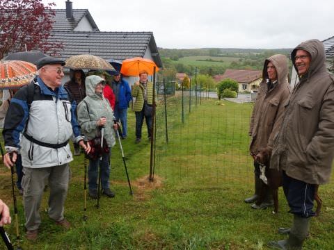 Rémelfing Marche du Muguet