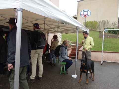 Rémelfing Marche du Muguet