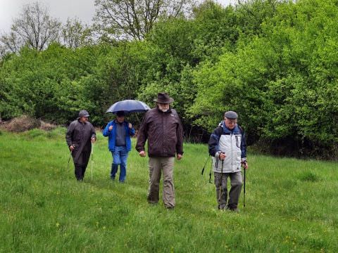 Rémelfing Marche du Muguet