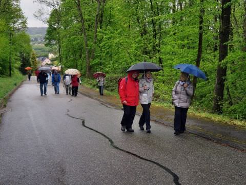 Rémelfing Marche du Muguet