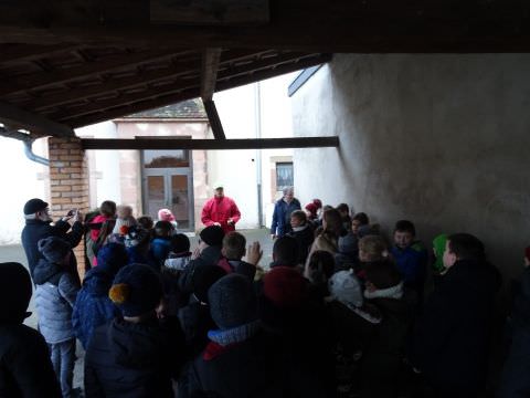 Rémelfing Plantation de pommiers à l'école élémentaire par le syndicat des arboriculteurs