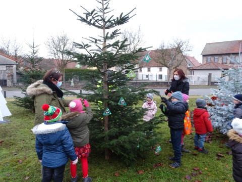 Rémelfing Décoration des sapins par nos écoliers