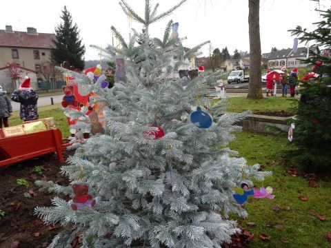 Rémelfing Décoration des sapins par nos écoliers