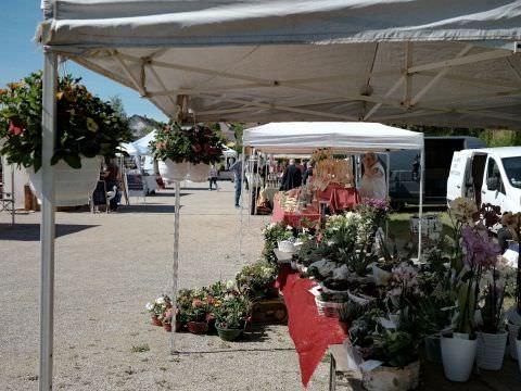 Rémelfing Samedi 29 mai - Marché de la Fête des Mères, des Producteurs et Artisans du Val de Sarre