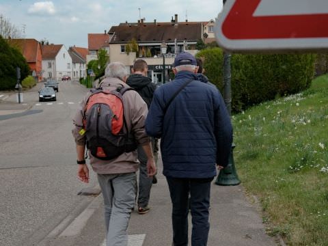 Rémelfing 28 ème Marche du Muguet : 1er Mai