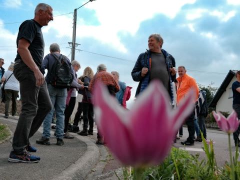 Rémelfing 28 ème Marche du Muguet : 1er Mai