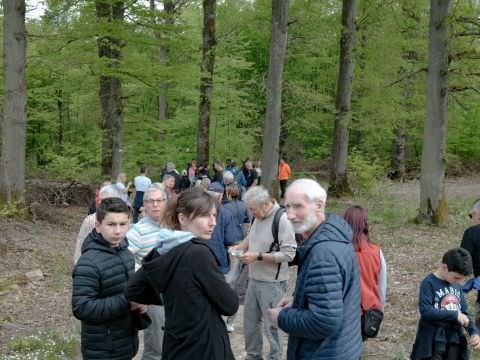 Rémelfing 28 ème Marche du Muguet : 1er Mai