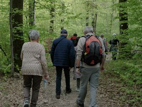 Rémelfing 28 ème Marche du Muguet : 1er Mai