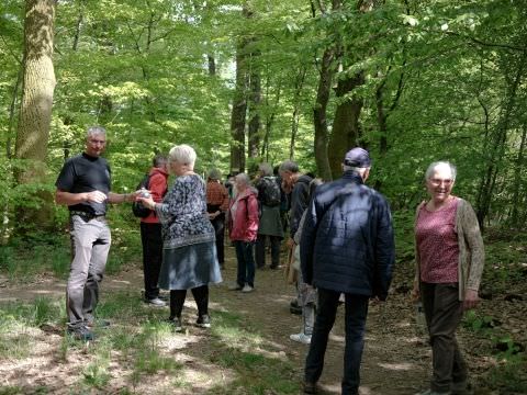 Rémelfing 28 ème Marche du Muguet : 1er Mai