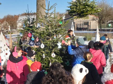 Rémelfing Décoration des sapins par nos écoliers