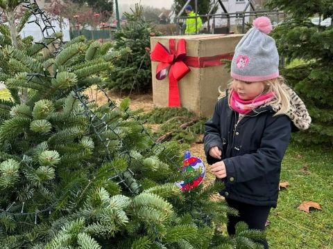 Rémelfing Décoration des sapins par nos écoliers
