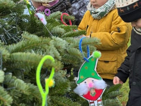 Rémelfing Décoration des sapins par nos écoliers