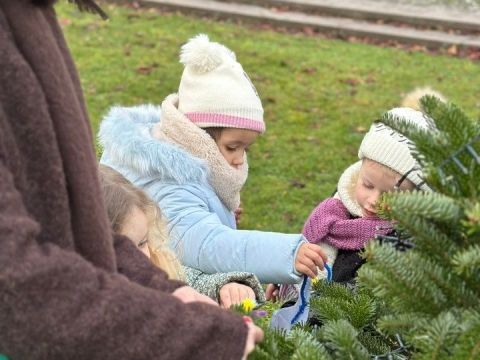 Rémelfing Décoration des sapins par nos écoliers