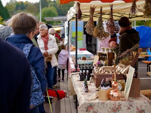 Rémelfing Fêtes des tracteurs