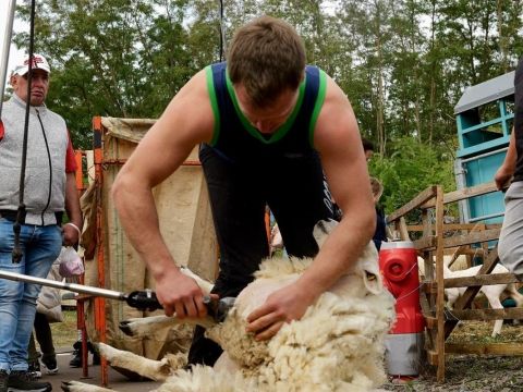 Rémelfing Fêtes des tracteurs