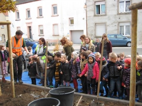 Rémelfing UN ARBRE POUR LE CLIMAT