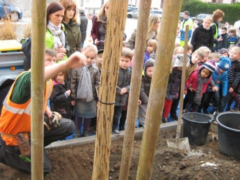 Rémelfing UN ARBRE POUR LE CLIMAT