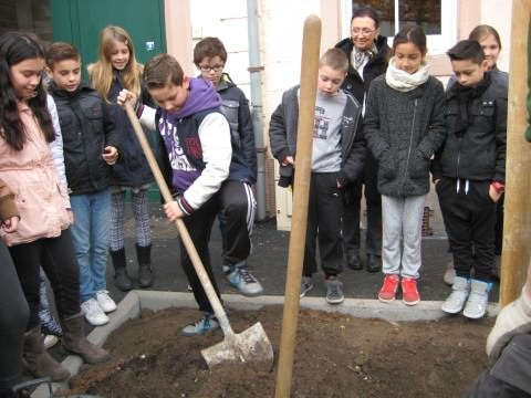 Rémelfing UN ARBRE POUR LE CLIMAT