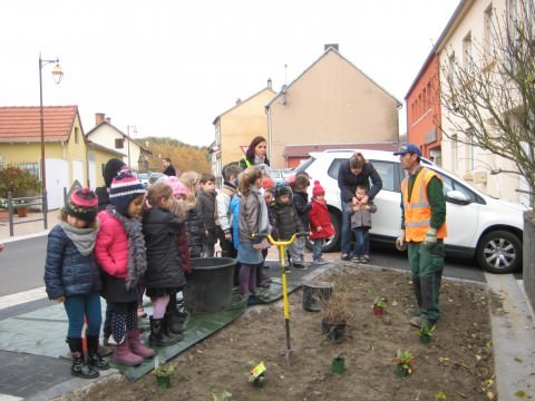 Rémelfing UN ARBRE POUR LE CLIMAT