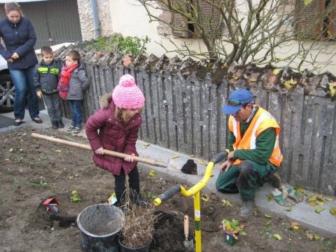 Rémelfing UN ARBRE POUR LE CLIMAT