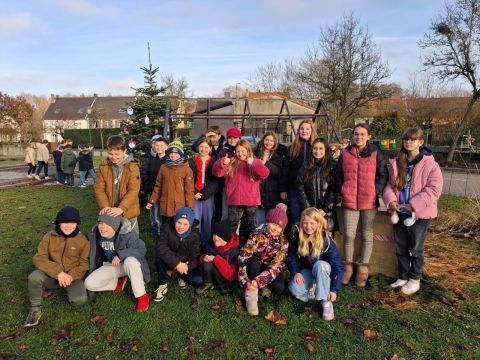 Décoration des sapins par nos écoliers
