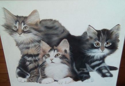 Trois petits chats