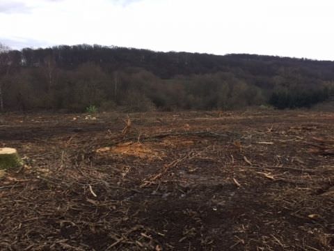 Rémelfing " Les Hauts de Sarre" Travaux de défrichage des terrains