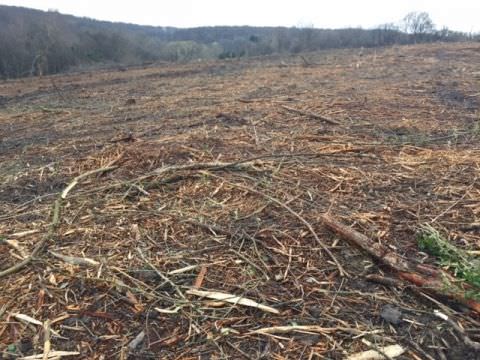 Rémelfing " Les Hauts de Sarre" Travaux de défrichage des terrains