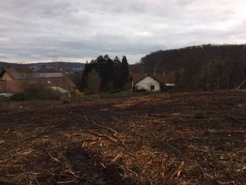 Rémelfing " Les Hauts de Sarre" Travaux de défrichage des terrains