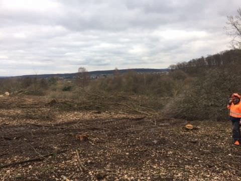 Rémelfing " Les Hauts de Sarre" Travaux de défrichage des terrains