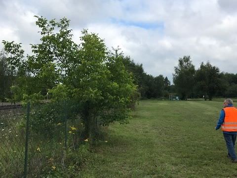 Rémelfing Pose de clôture sur la nouvelle emprise foncière