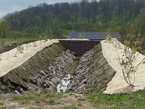 Rémelfing "Les Hauts de Sarre" : Aménagement paysager des noues