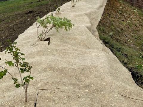 Rémelfing "Les Hauts de Sarre" : Aménagement paysager des noues