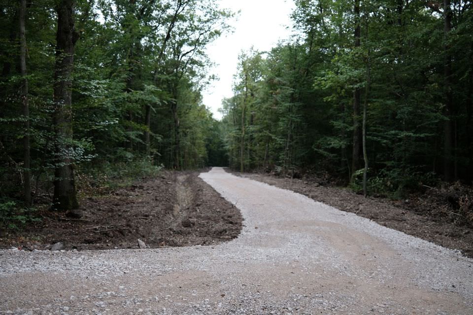 Créationd'un nouveau chemin d'exploitation forestière dans la forêt du Grand Freiwald