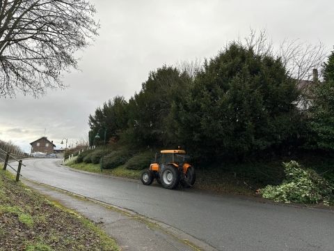 Rémelfing Élagage rue de la Paix et création d' un nouveau "Jardin refuge"