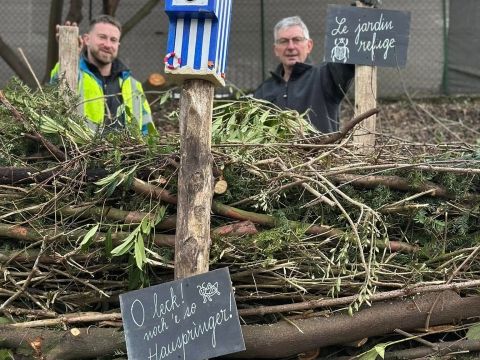 Rémelfing Élagage rue de la Paix et création d' un nouveau "Jardin refuge"