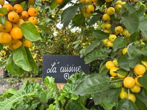 Rémelfing Création d'un nouveau jardin "Cuisine d'été"